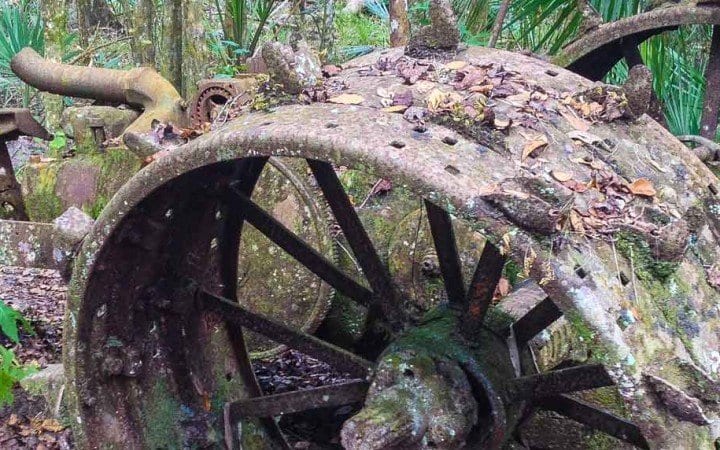 abandoned florida tractor