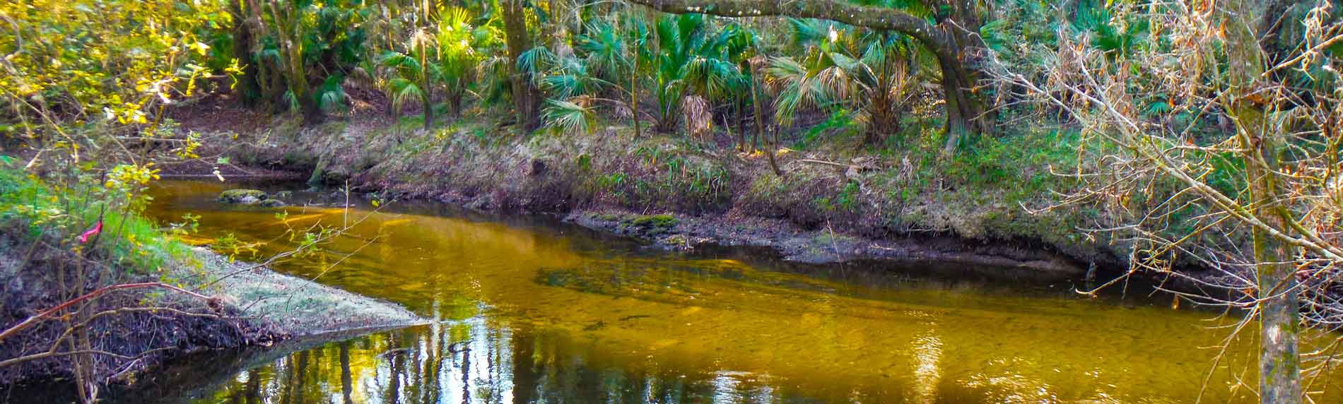 Alderman's Ford Regional Park Hiking Review