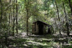 The Stewart Homestead Murders Cabin