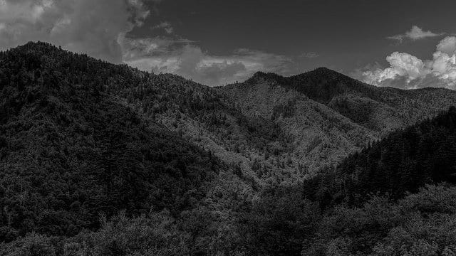 Great Smoky Mountains National Park Photographs