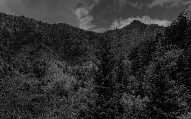 Great Smoky Mountains National Park Photographs