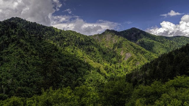 Great Smoky Mountains National Park Photographs