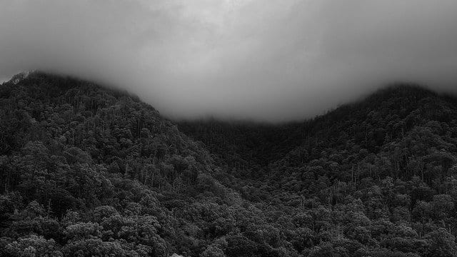 Great Smoky Mountains National Park Photographs