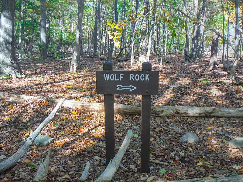 Catoctin Mountain Park – Wolf Rock Hiking Review