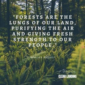 Forests are the lungs of our land, purifying the air and giving fresh strength to our people. Nature Meme