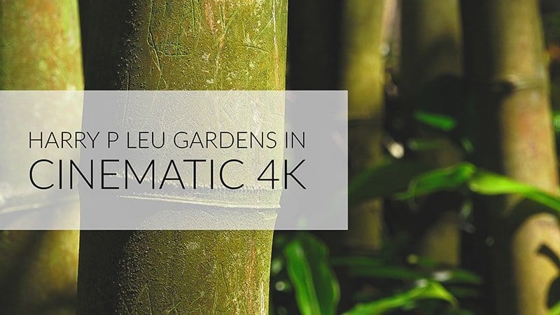 Harry P Leu Gardens in Cinematic 4K – Orlando, FL