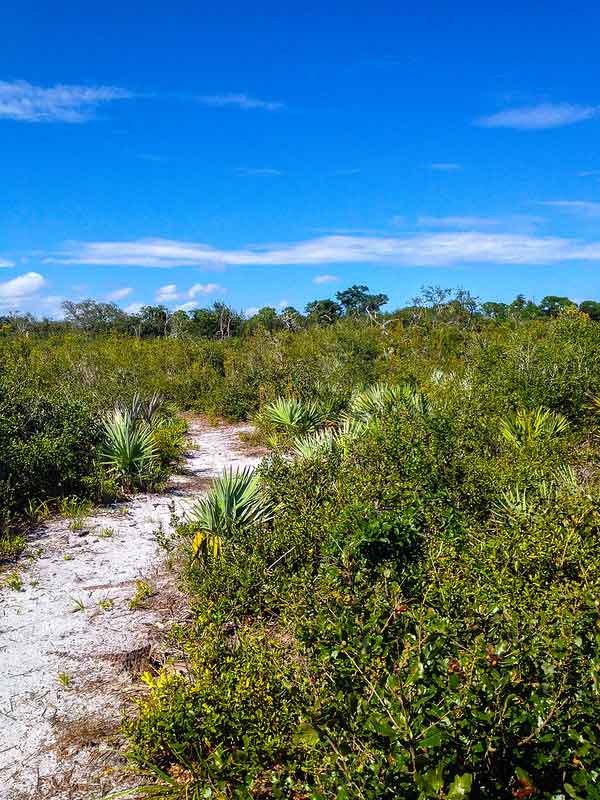 Pond Hawk Natural Area Hiking Review