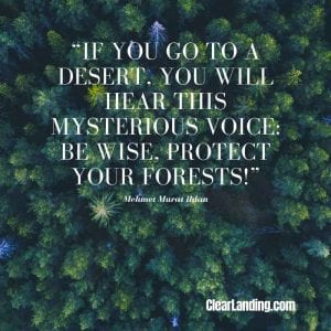 if you go to a desert, you will hear this mysterious voice: be wise, protect your forests by mehmet murat ildan nature meme