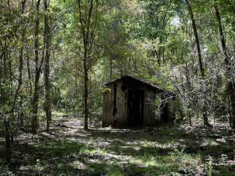 The Stewart Homestead Murders