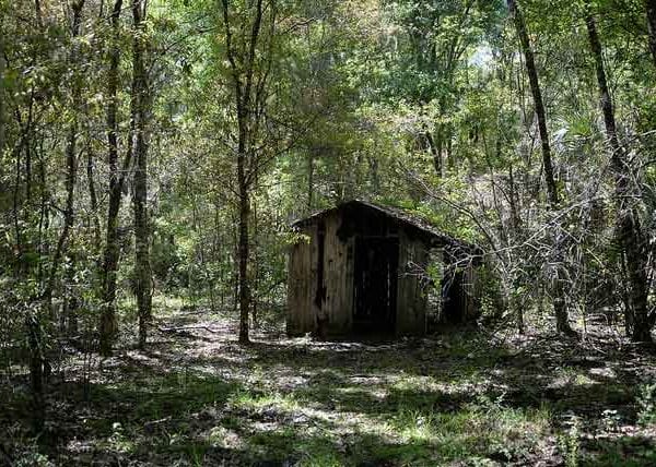 The Stewart Homestead Murders Cabin