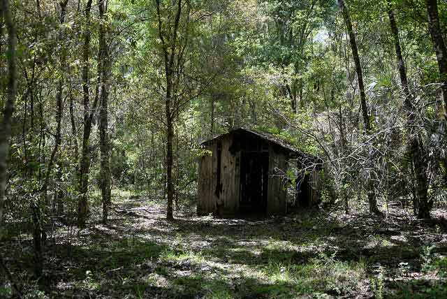 The Stewart Homestead Murders