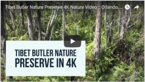 Tibet Butler Nature Preserve Nature Video - 4K