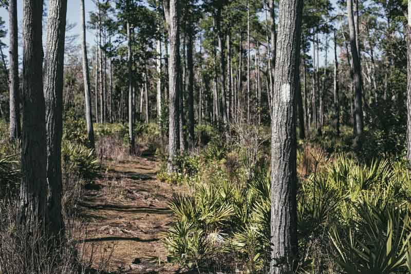 Wekiwa Springs State Park Hiking Review