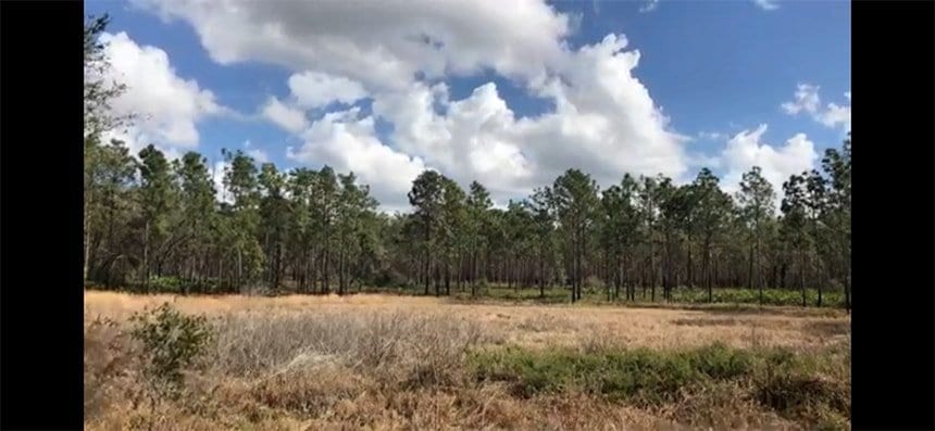 Hiking Central Florida In Time Lapse Nature Video