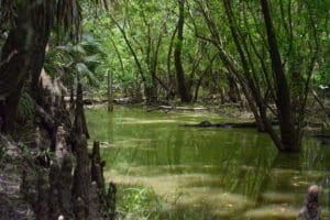 aldermans ford regional park in florida