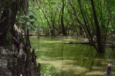 Alderman’s Ford Regional Park Hiking Review