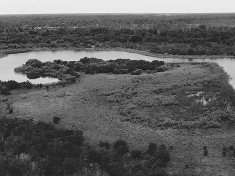 Black & White Cinematic Mavic Air Footage Over Florida’s Landscape