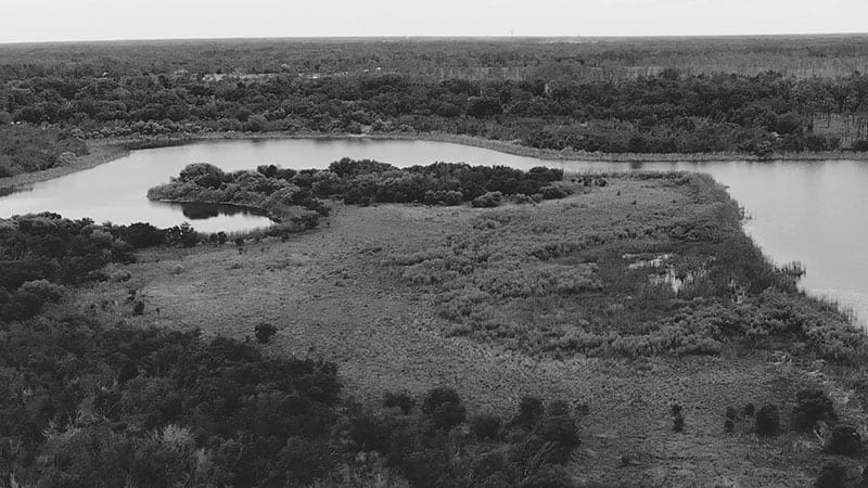 Black & White Cinematic Mavic Air Footage Over Florida’s Landscape