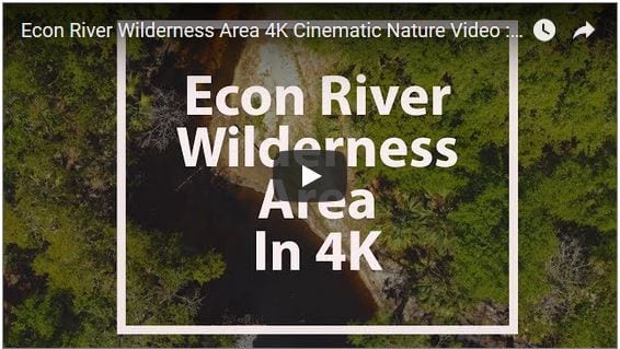 Econ River Wilderness Area Cinematic Nature Video Filmed in 4K