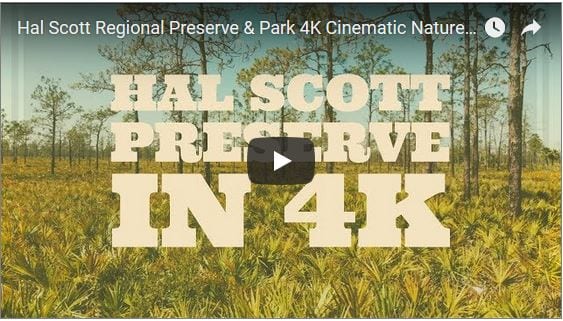 Hal Scott Regional Preserve & Park in Cinematic 4K