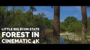 Little Big Econ State Forest Cinematic 4K Nature Video