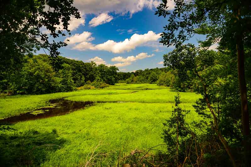 Mason Neck State Park Hiking Review