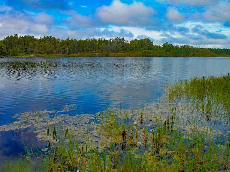 Maynard Mine – Green Swamp Florida