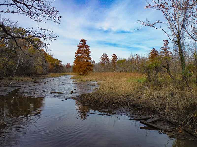 Theodore Roosevelt Island Hiking Review